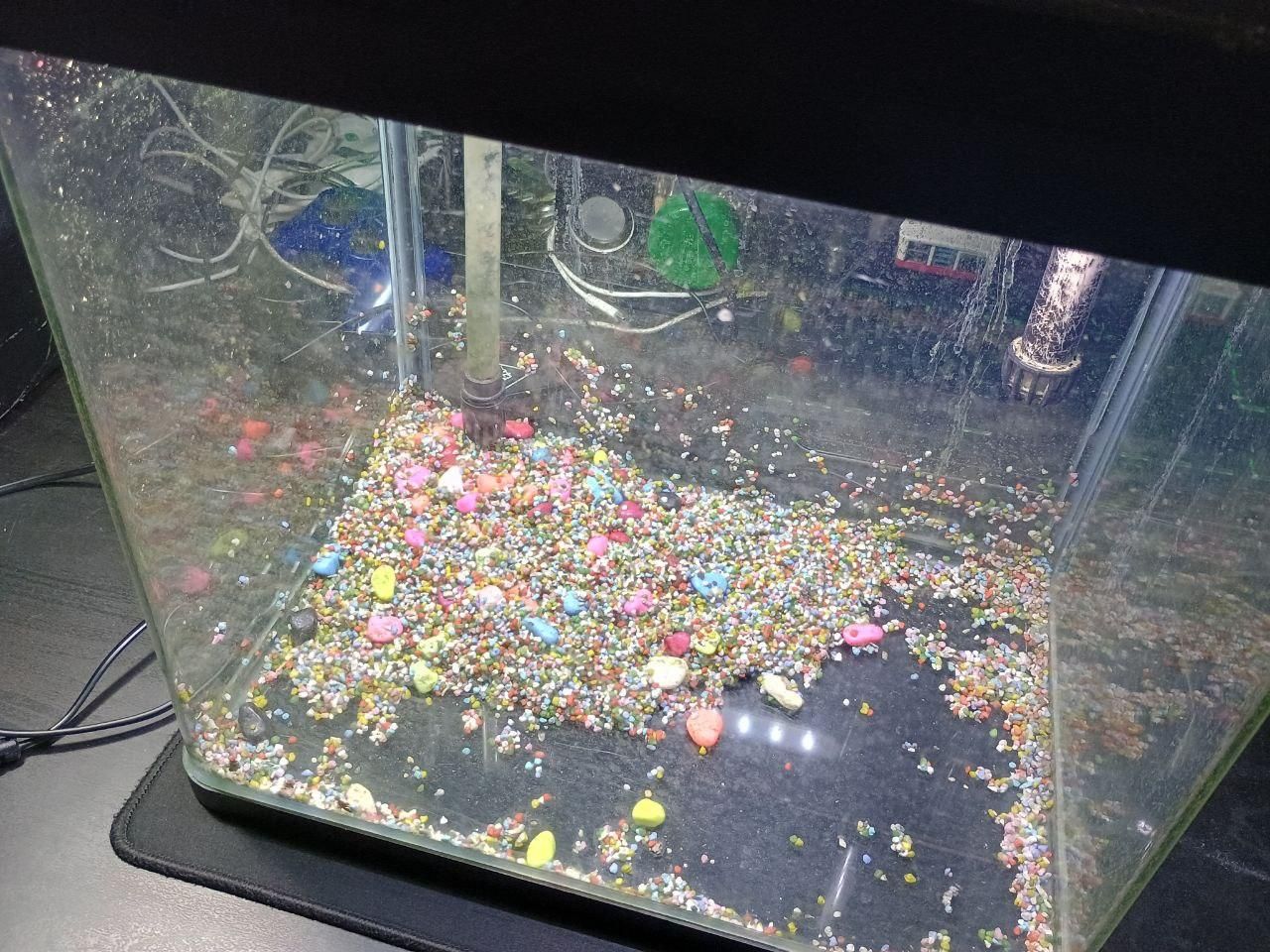 acquario con luce interna accesa