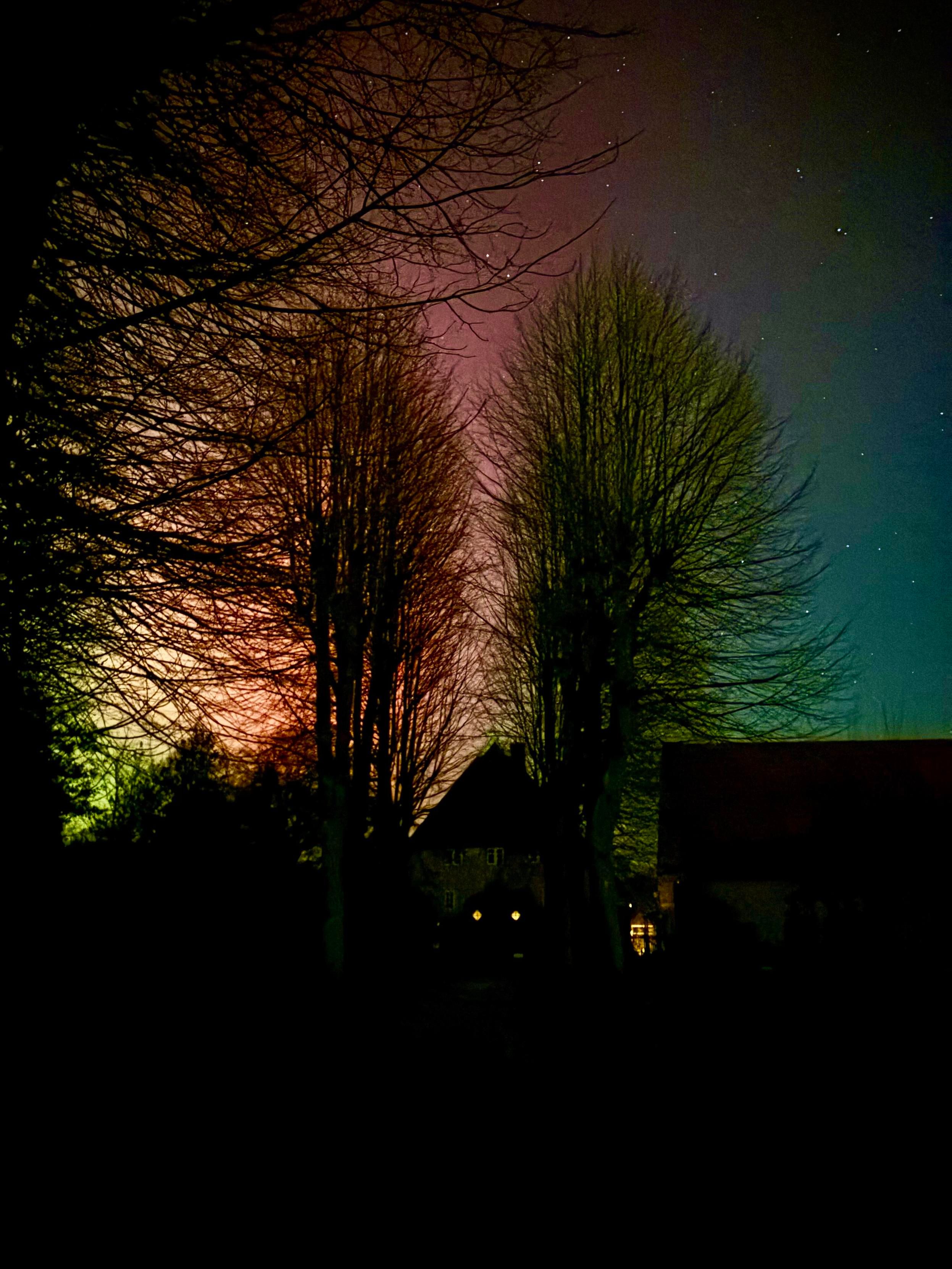 Eine nächtliche Szene mit Silhouettenbäumen vor einem bunten Himmel mit einem Hauch von Grün-, Rosa- und Blautönen. Im Hintergrund ist ein Gebäude teilweise beleuchtet, was zum atmosphärischen Gefühl beiträgt. Sterne sind am Himmel sichtbar und verstärken das ruhige Ambiente.