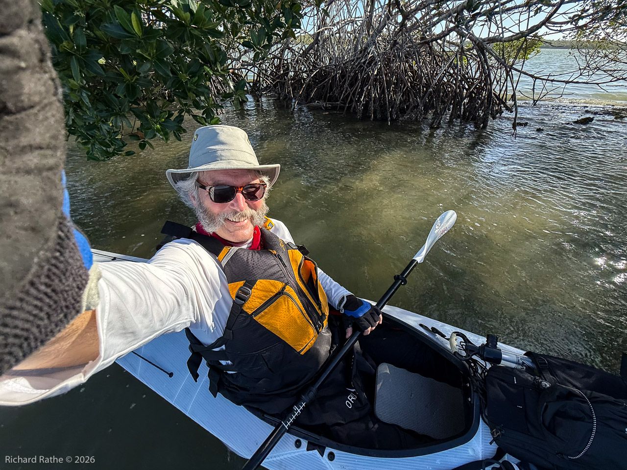 Resting behind the mangroves