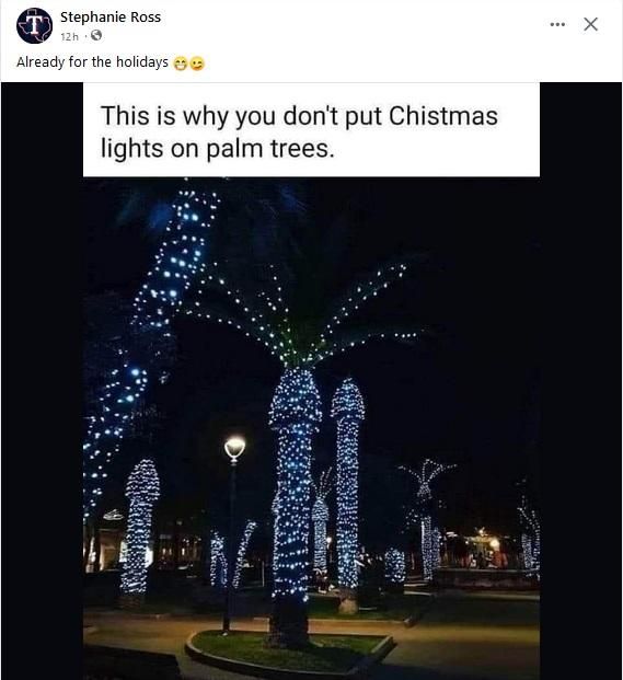 

Palm trees, covered with Christmas lights, at night, looking like giant, erect phalli.  Reads: This is why you don't put Christmas lights on palm trees.
