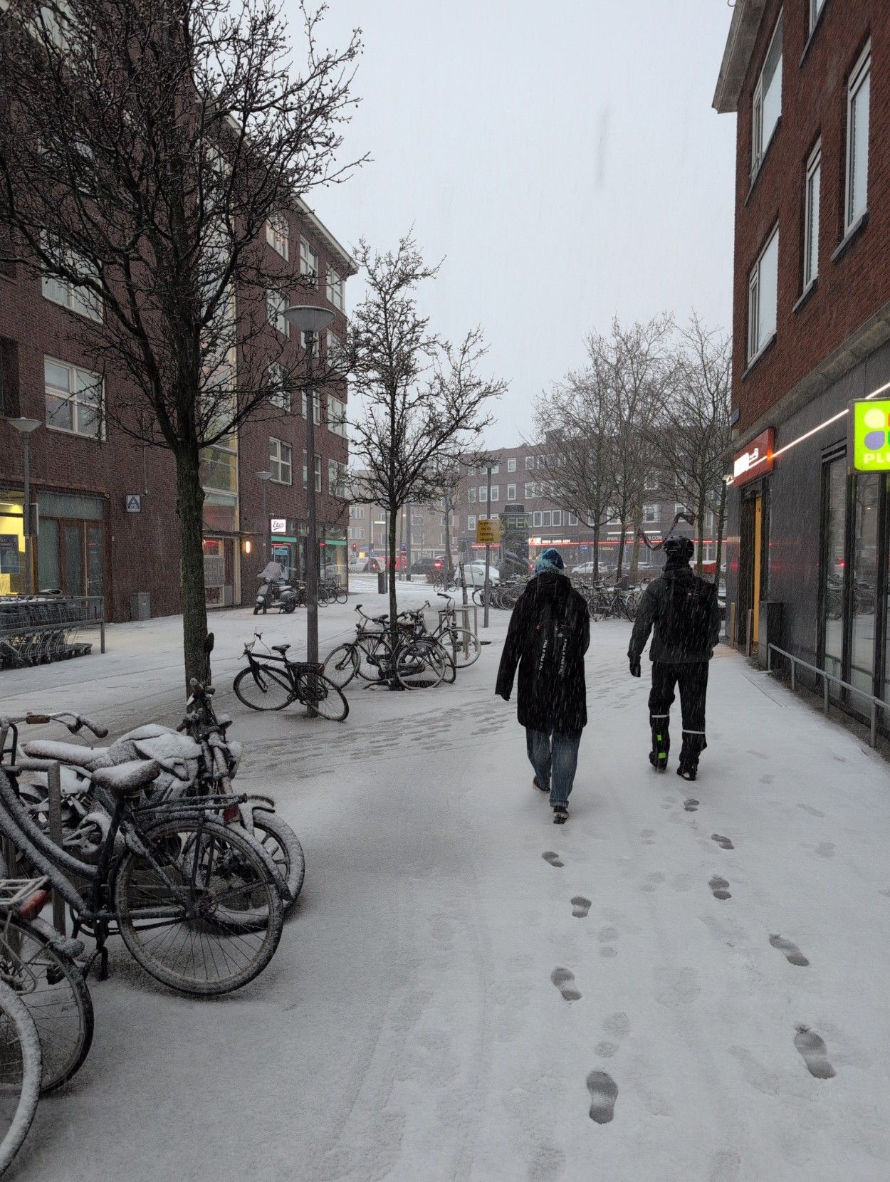 Elo and Blue walking in fronte of our home, going to get their bikes.