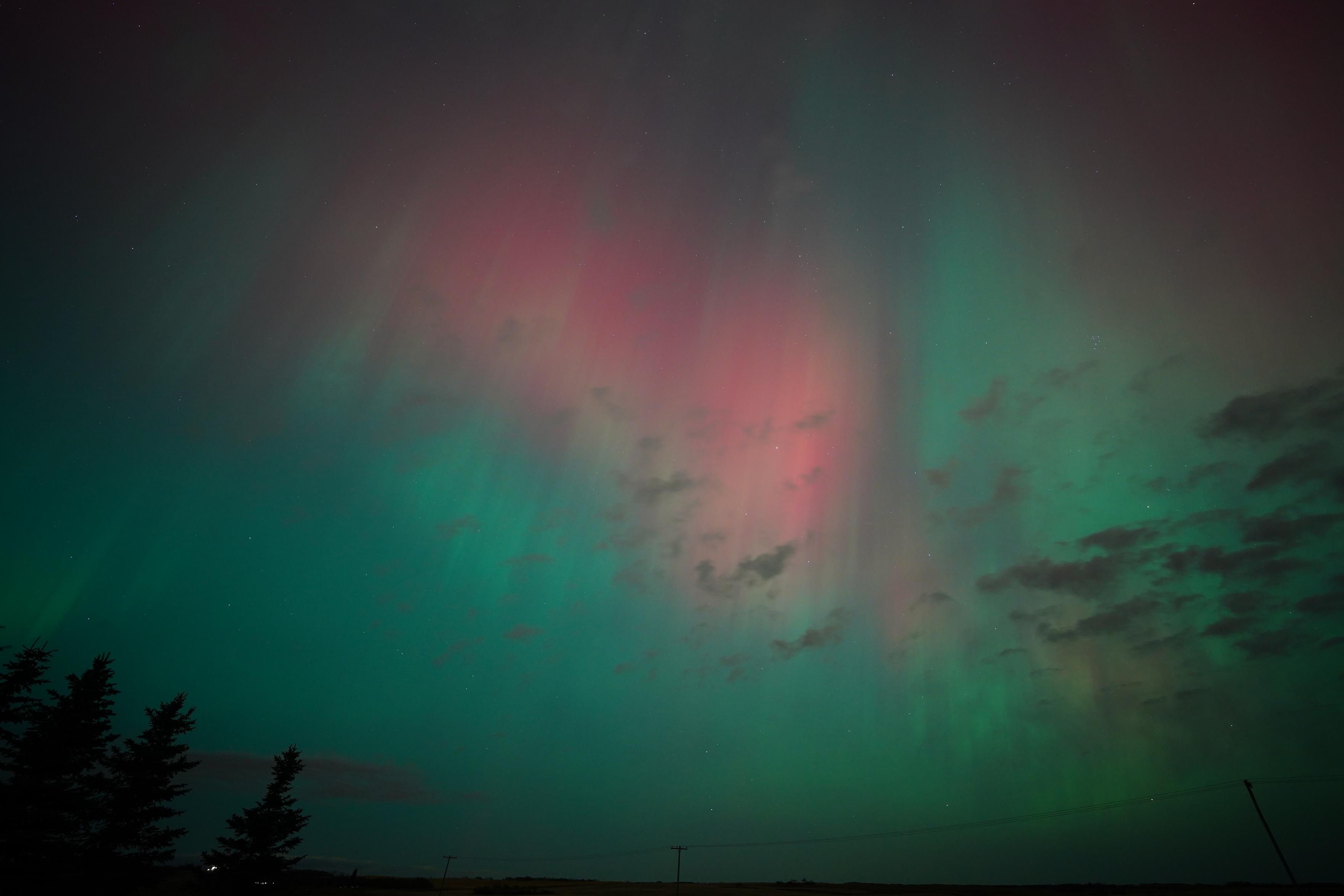 A couple of patches of red auroras with bright green auroras everywhere else in the sky.  There are a few silhouetted spruce trees on one side of the picture, and some clouds moving in on the other side of the picture.