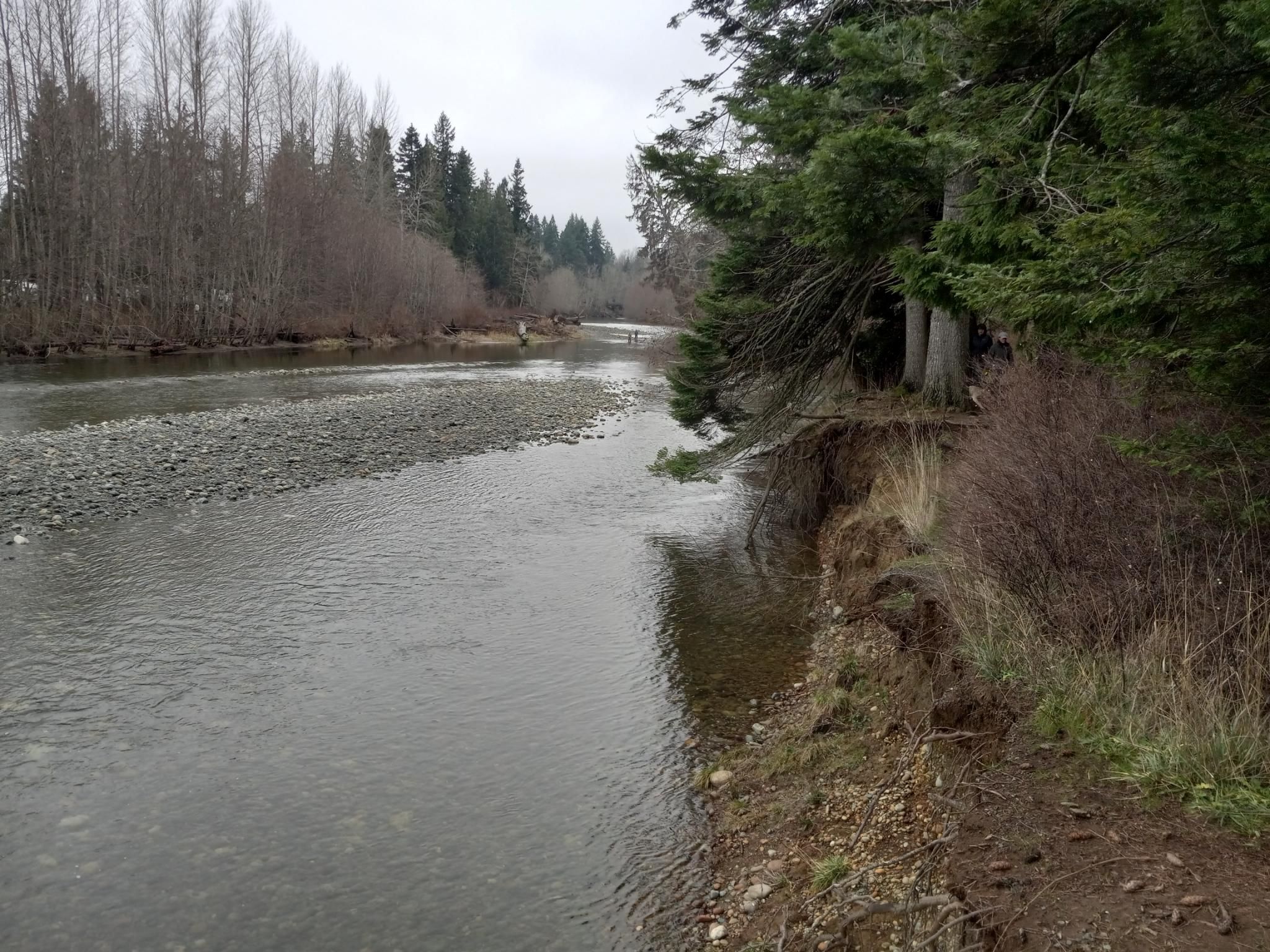 Looking up a river, with tall trees on either side.  A couple of people are fishing in the river in the distance.  The sky is cloudy. 