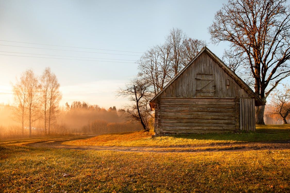A wooden barn in a grassy field in low golden light, bare trees all around and a warm orange haze filtering through mist on the left. 
