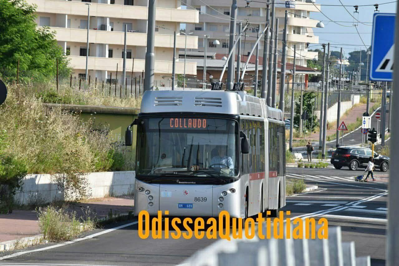 FILOBUS: TORNA IL 74 SULLA LAURENTINA

Sono terminati i lavori di rifacimento del corridoio della mobilità.

I dettagli