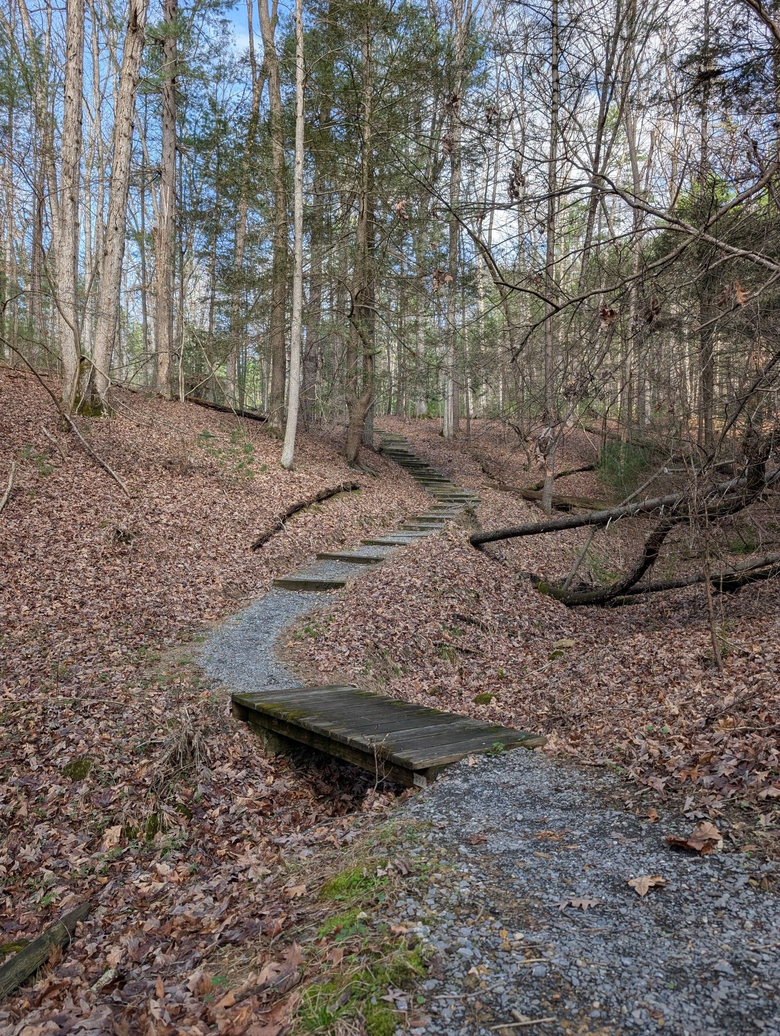 A gravel stairway with 6x6 log risers winds up and around a steep slope into the distance. A small wooden bridge traverses a gentle, wide stormwater swale in the foreground that allows water to gently flow off the stairs, down the hill to its side, then under the bridge before joining a stream at the bottom of the hill.