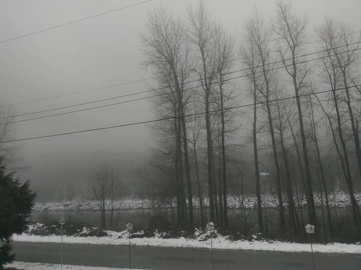 Photograph of foggy winter landscape featuring a row of tall, leafless trees lining a riverbank. The ground is lightly covered in snow, and a road runs parallel to the river in the foreground with snow piled along its edges. Power lines stretch horizontally across the scene, and the sky is overcast, creating a cold, misty, and tranquil atmosphere.