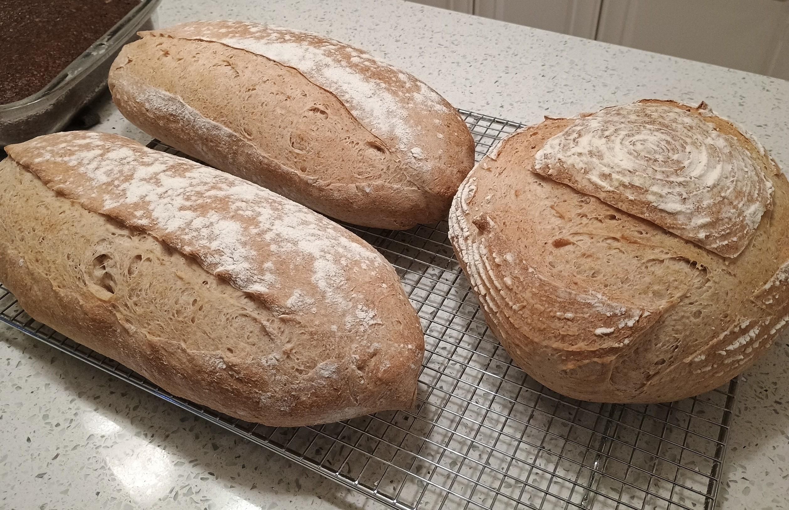 Two oblong loaves and a round one, and a square pan with a dark chocolate cake hides in the background.