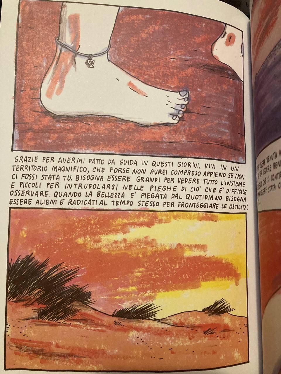 GRAZIE PER AVERMI FATTO DA GUIDA IN QUESTI GIORNI. VIVI IN UN
TERRITORIO MAGNIFICO, CHE FORSE NON AVREI COMPRESO APPIENO SE NON Cl FOSSI STATA TU. BISOGNA ESSERE GRANDI PER VEDERE TUTTO L'INSIEME E PICCOLl PER INTRUFOLARSI NELLE PIEGHE DI CIO' CHE E' DIFFICILE OSSERVARE. QUANDO LA BELLEZZA E' PIEGATA DAL QUOTIDIANO BISOGNA
ESSERE ALIENI E RADICATI AL TEMPO STESSO PER FRONTEGGIARE LE OSTILITA'