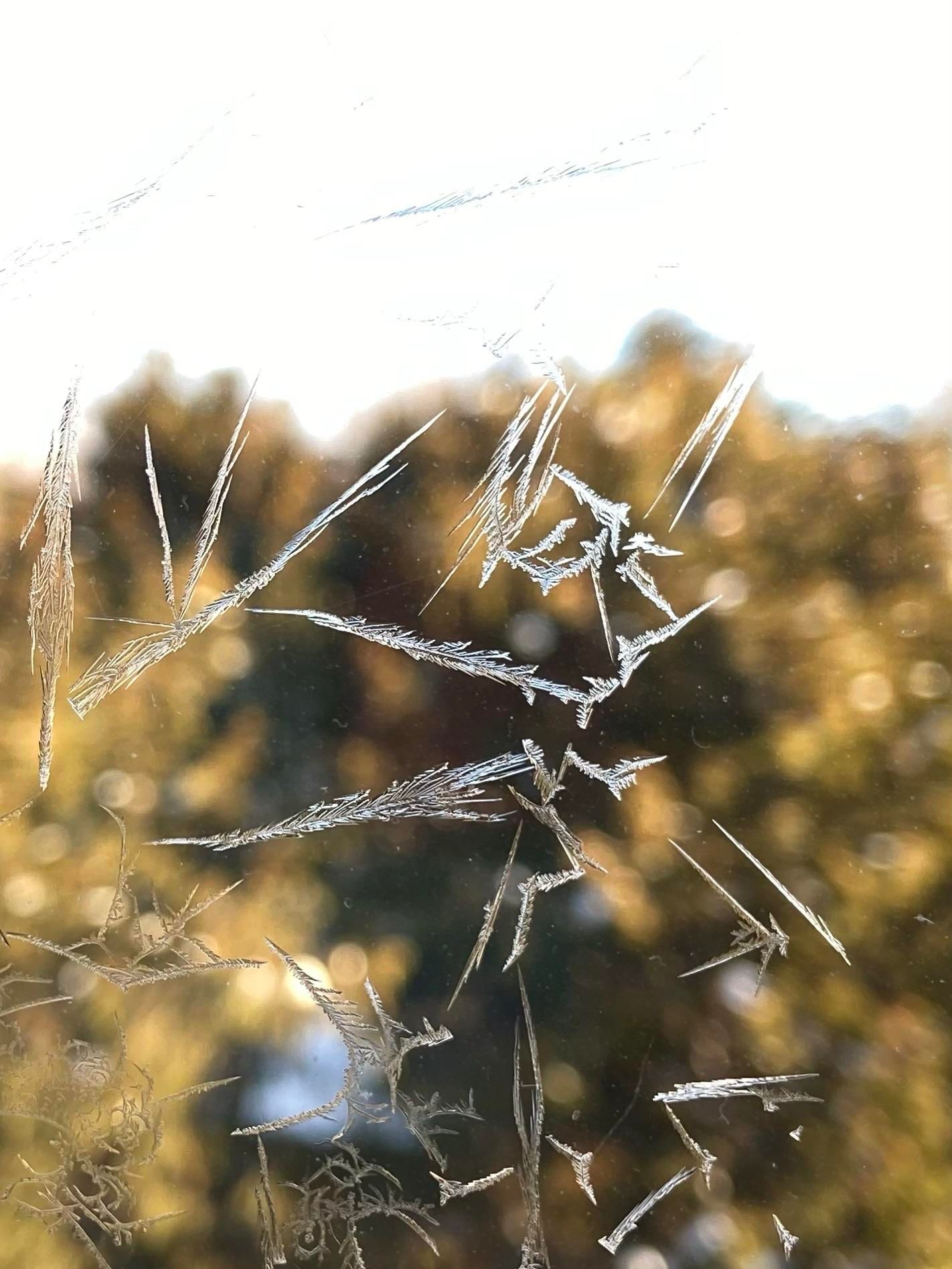 Frost patterns on a window that look like jagged line drawings of a Pegasus in flight. 