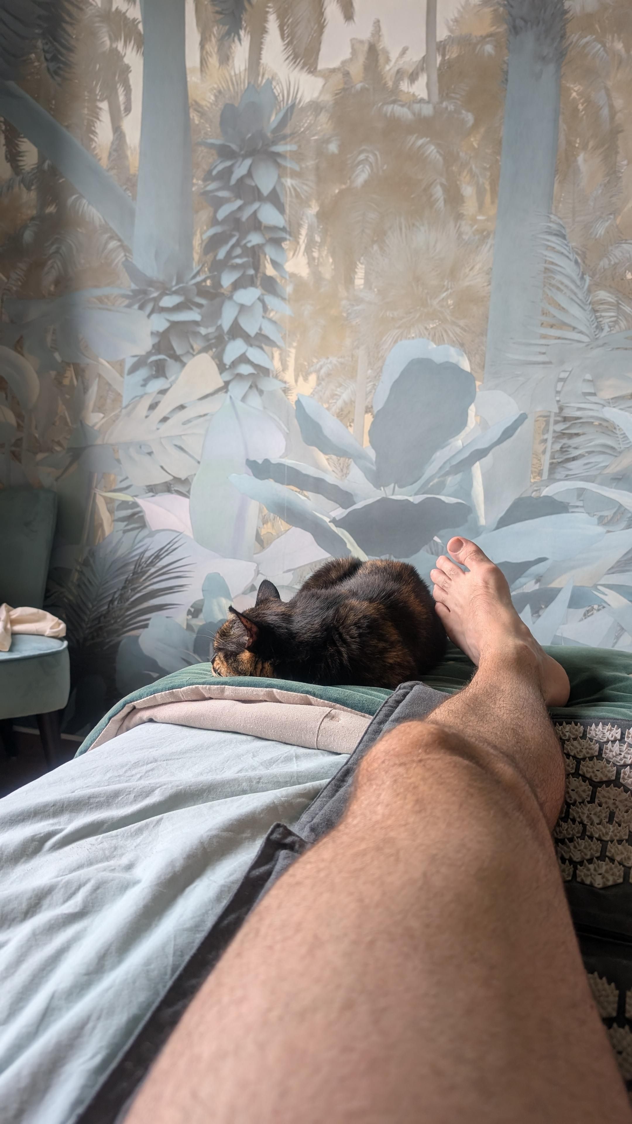 Allongé sur le lit , au bout de ma jambe, près de mon pied , ma chatte dort 