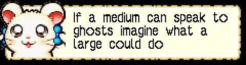 A pixelated image featuring a cute mouse and a writing: "If a medium can speak to ghosts, imagine what a large could do"
