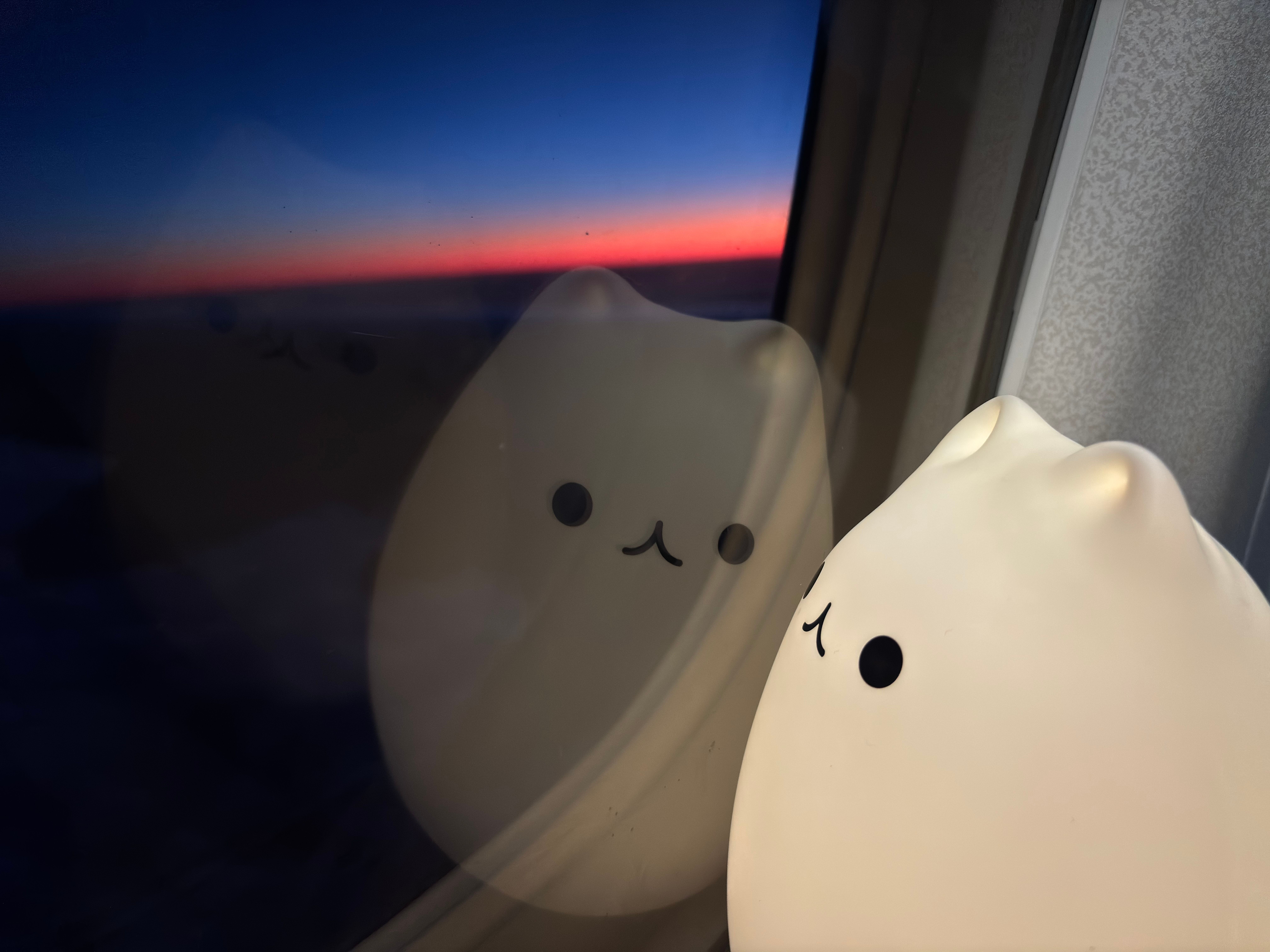 glowing eggcat looking out of (and reflected in) a plane window; you can just about see the last bits of sunlight in orange on the horizon, but it's otherwise dark