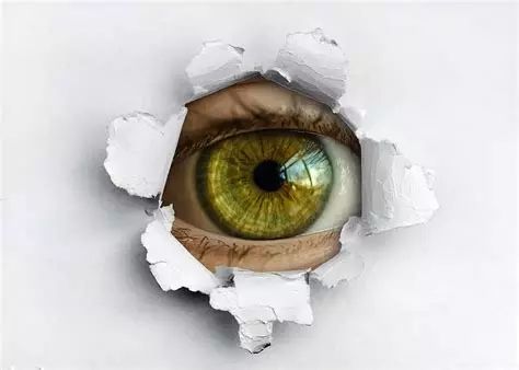 non abbiamo nulla da nascondere