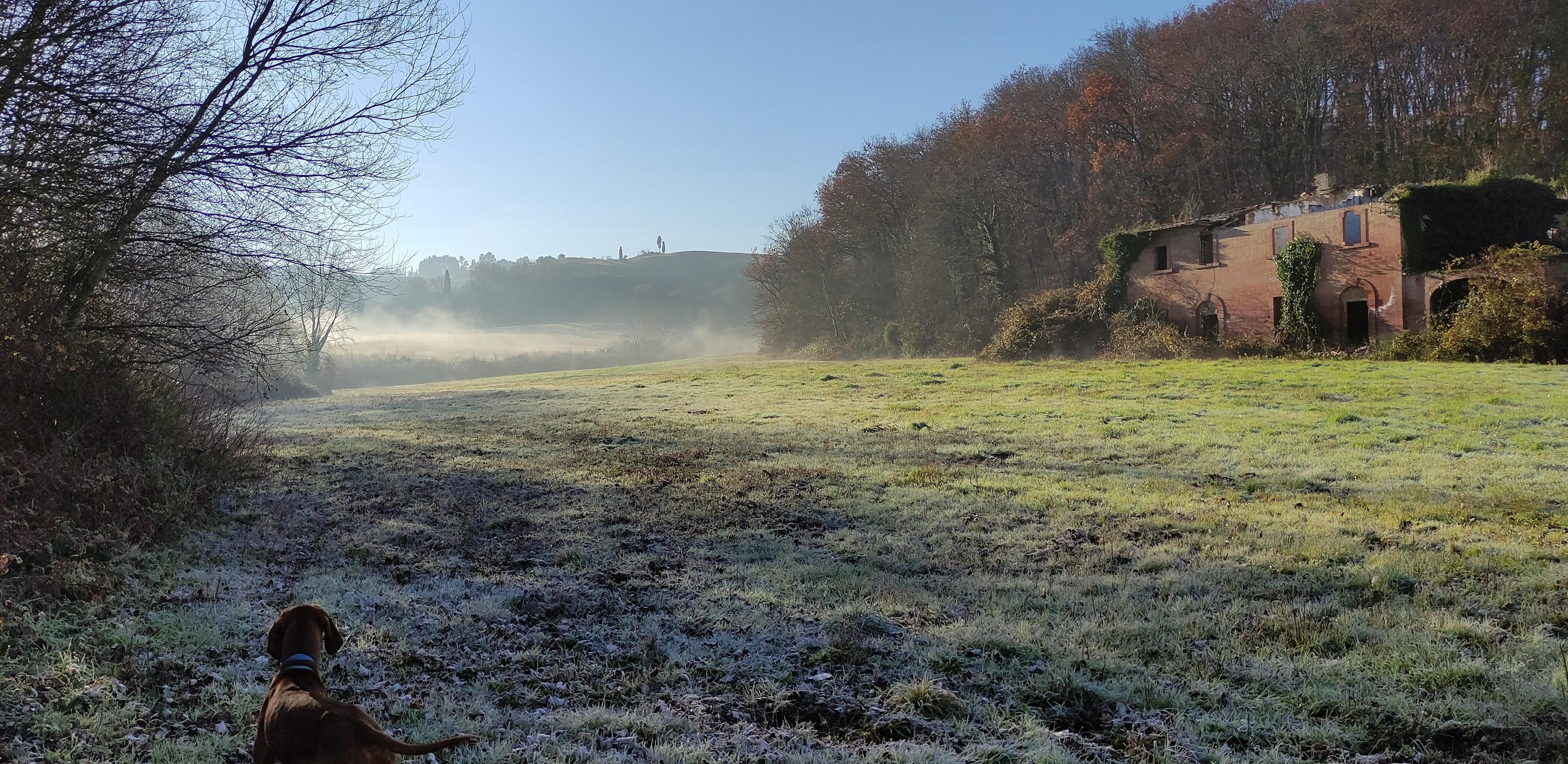 in basso a sx la testa di Ecco che guarda la piaggia brinata che abbiamo davanti, sulla dx un rudere, il sole fa evaporare la brina facendo alzare nebbiolina luminosa