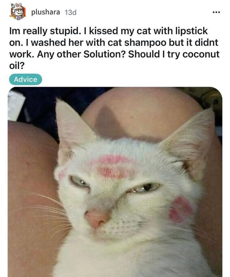 plushara 13d

Im really stupid. I kissed my cat with lipstick on. I washed her with cat shampoo but it didnt work. Any other Solution? Should I try coconut oil?
Advice

cat with lipstick kisses on it