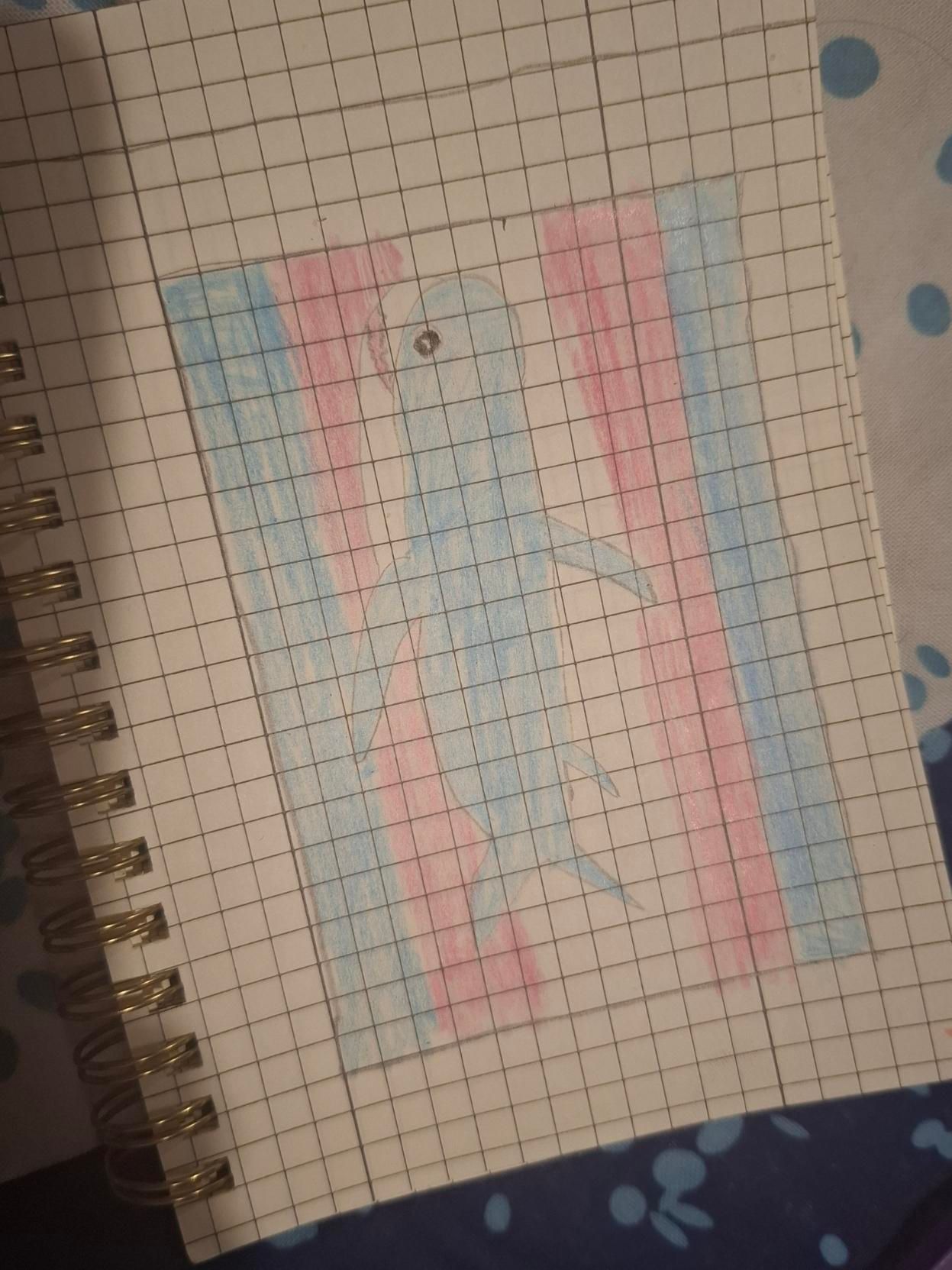Poor drawing of a blåhaj on a transgender flag