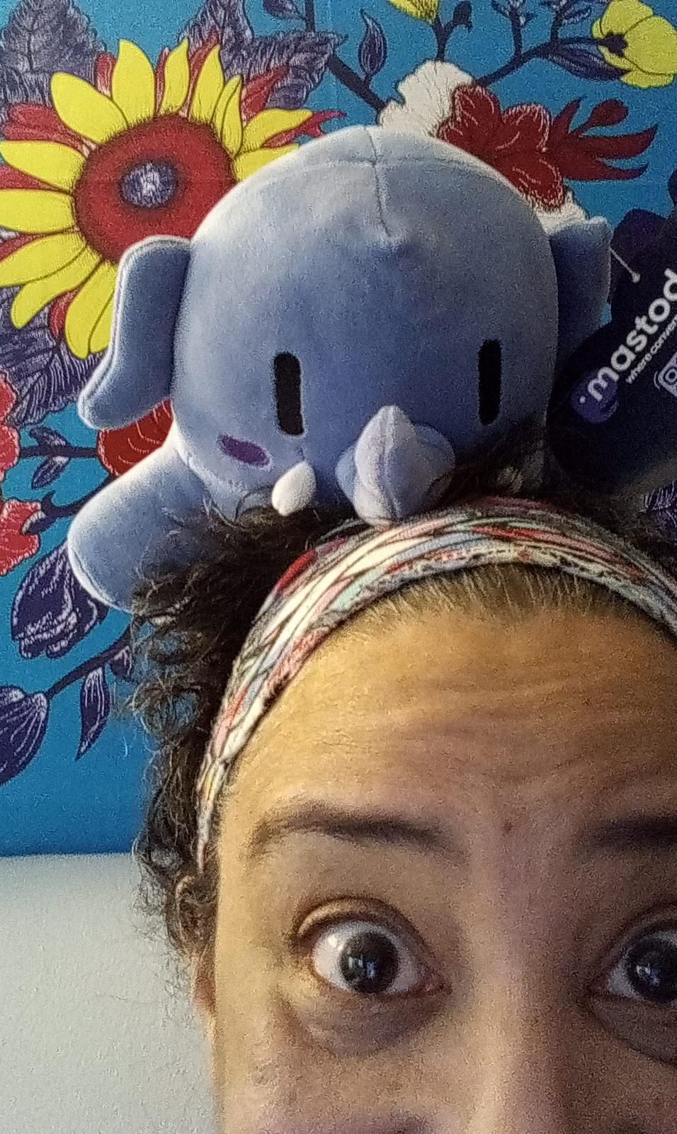 Boost thought you can’t see them because they think they blend with the blue of our the art on the wall