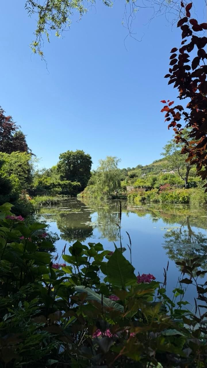 The waterlily pond at Monet's garden. The sky and tree are reflected on the surface, which is broken up by waterlilies 
