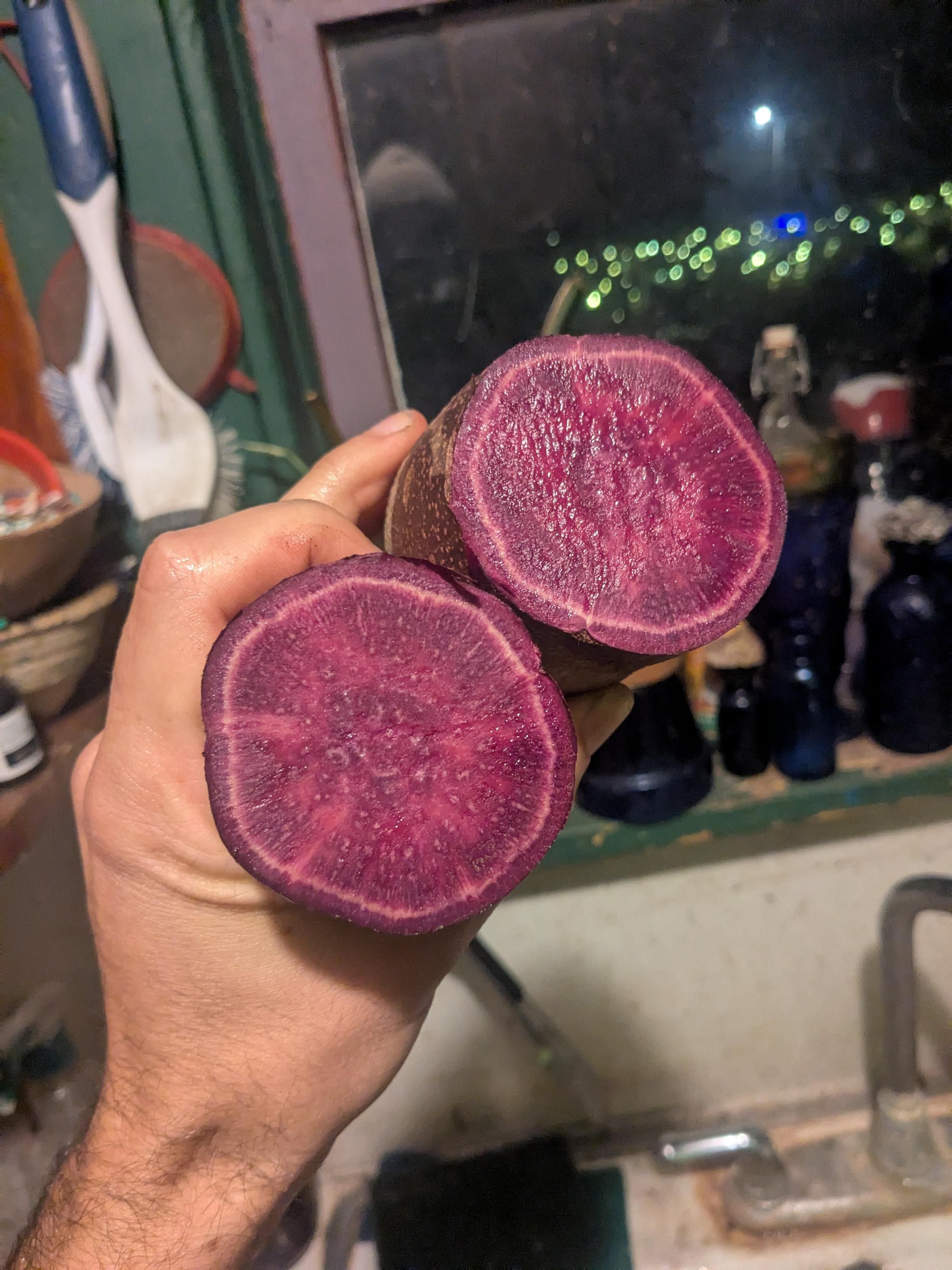 The inside of a purple sweet potato 