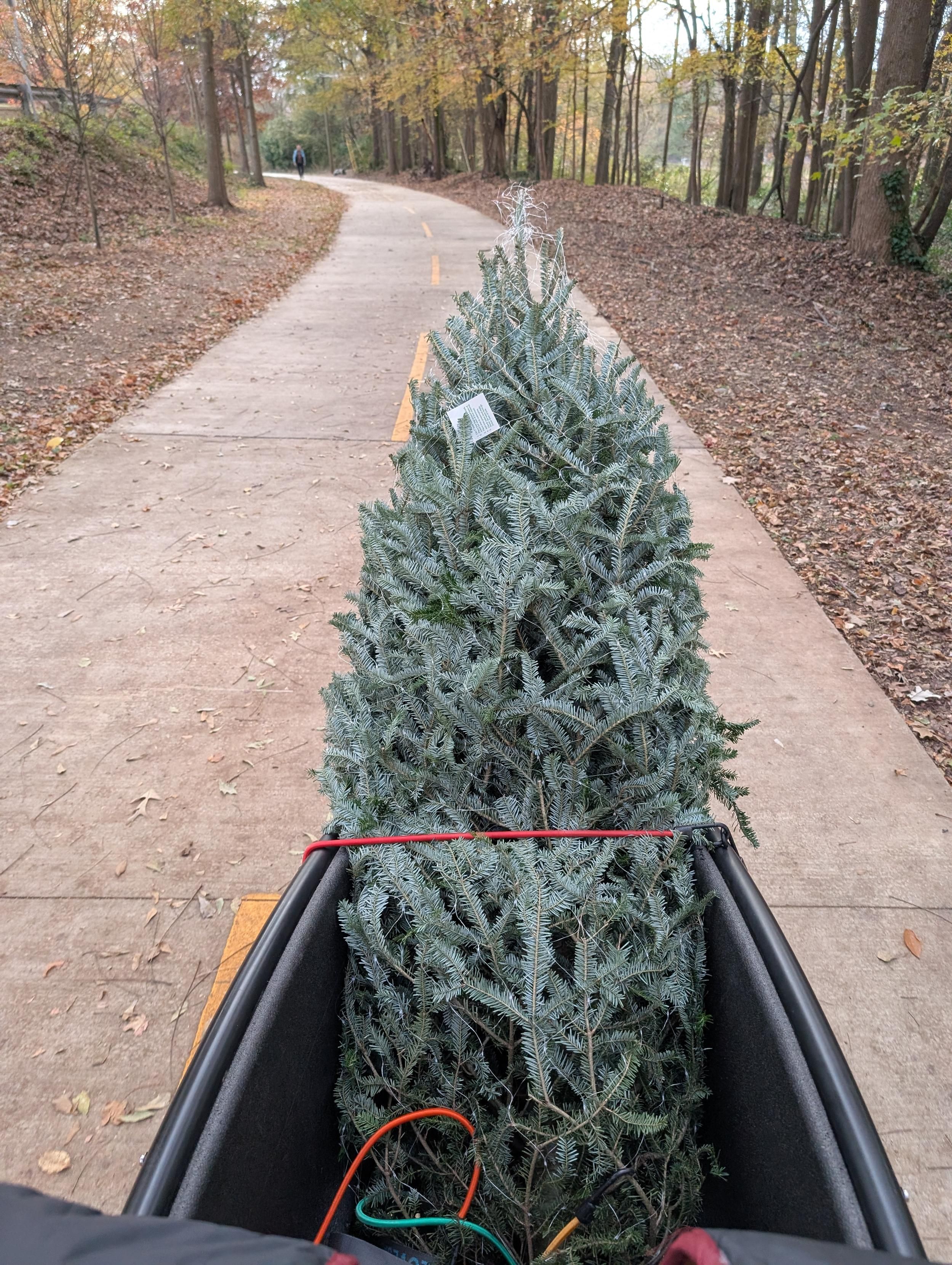 Looking forward at Christmas tree from the point of view of the rider. Picture taken while riding down a mixed use trail. Pedestrian can be seen walking in far distance. 