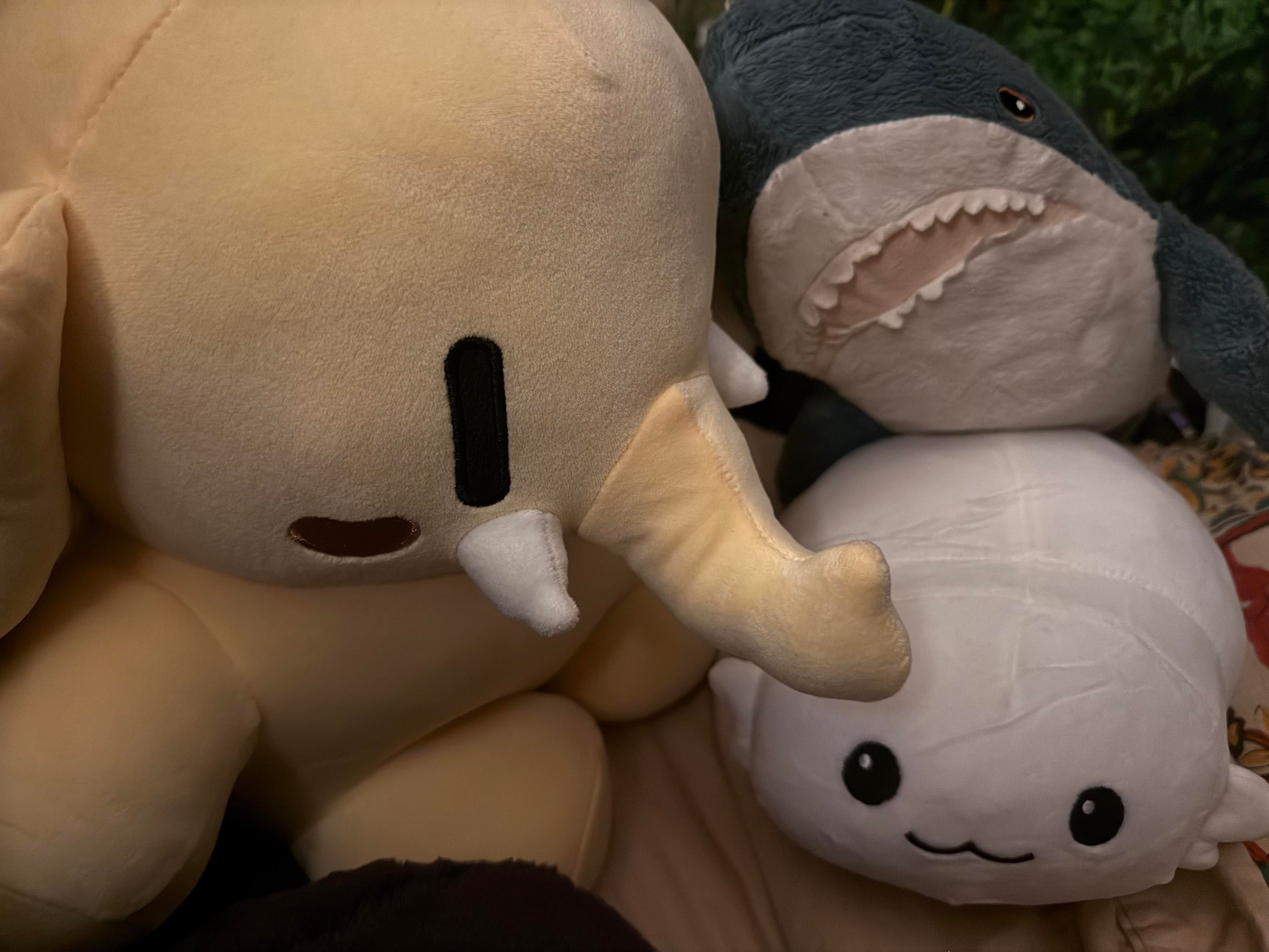 A close-up of the large Federation beige mastodon, a small IKEA blahaj, and a small Moopsy from Star Trek all nestled together. 