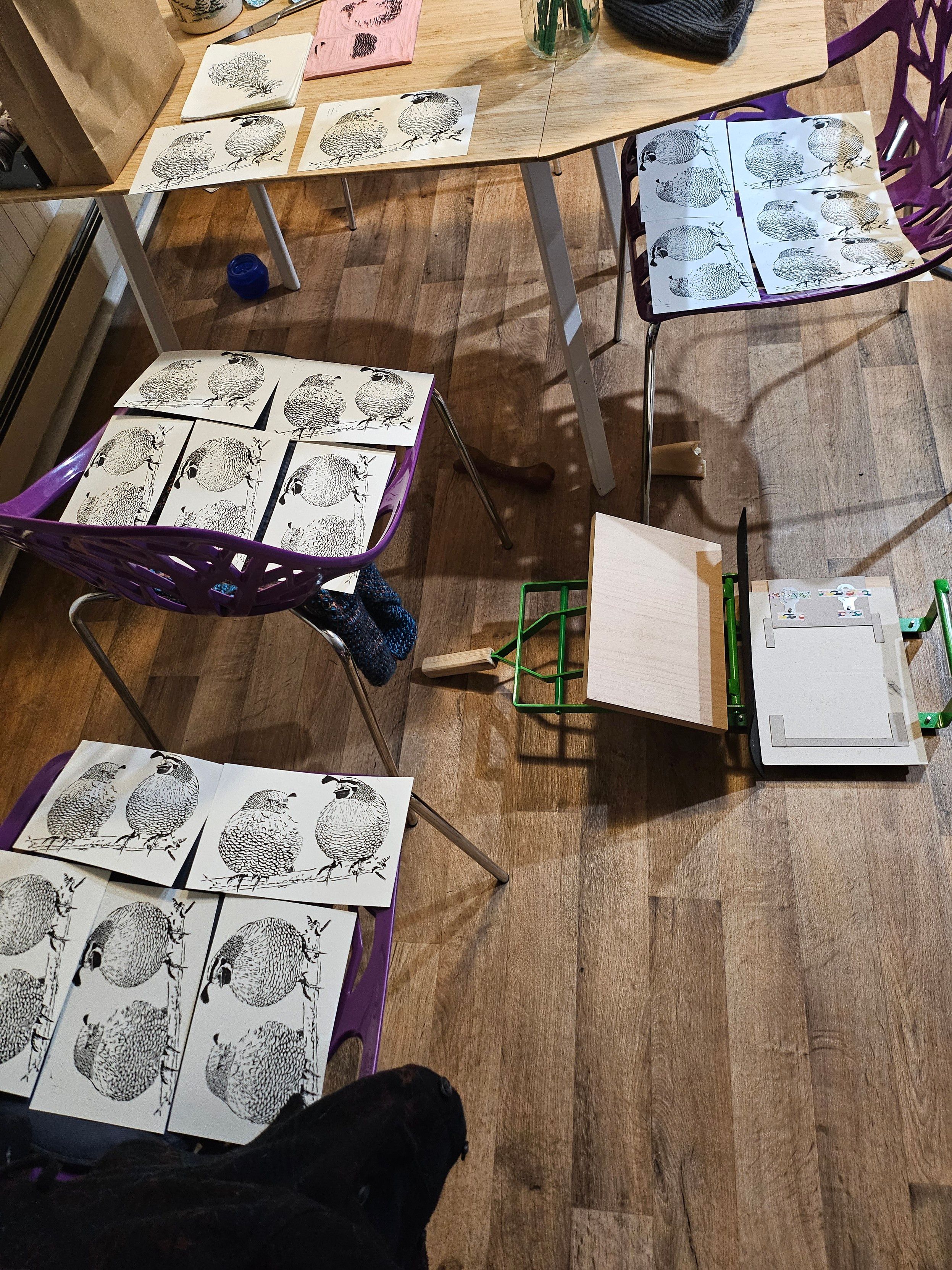 several chairs with 5 prints each laid out on them, plus a few more on the table. they're all prints of the detail layer of the quails with no brown color layer