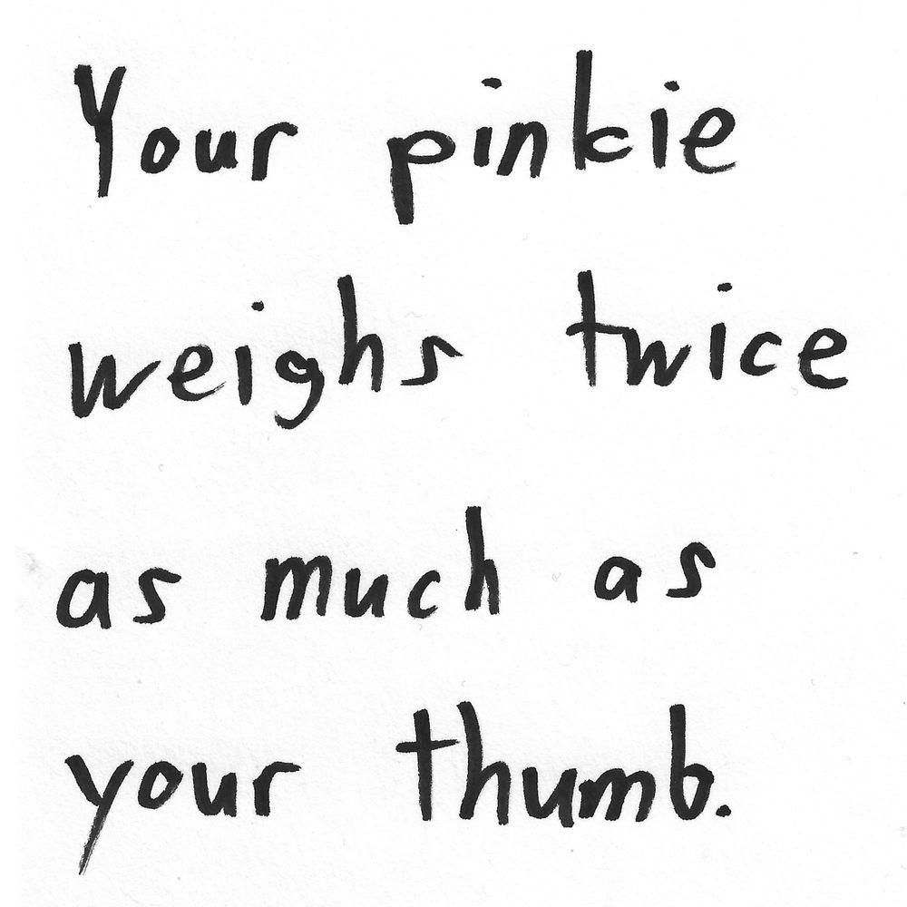 Your pinkie
weighs
twice
as
much as
e

your thumb.