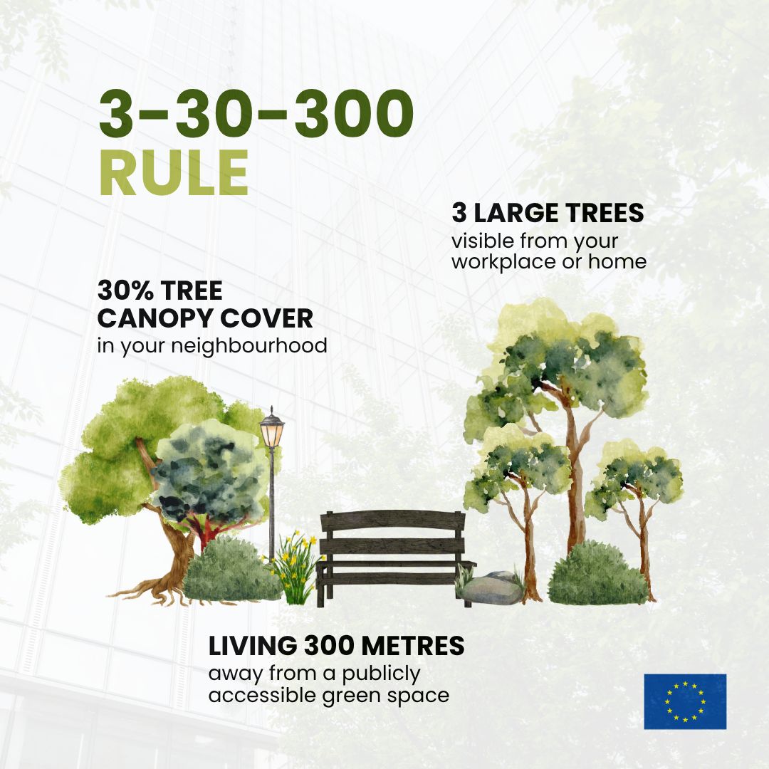An infographic illustrating the '3-30-300 Rule' for urban greenery. It features stylized drawings of trees and a bench, accompanied by three key guidelines: having 3 large trees visible from your home or workplace, ensuring 30% tree canopy cover in your neighbourhood, and living within 300 meters of a publicly accessible green space 