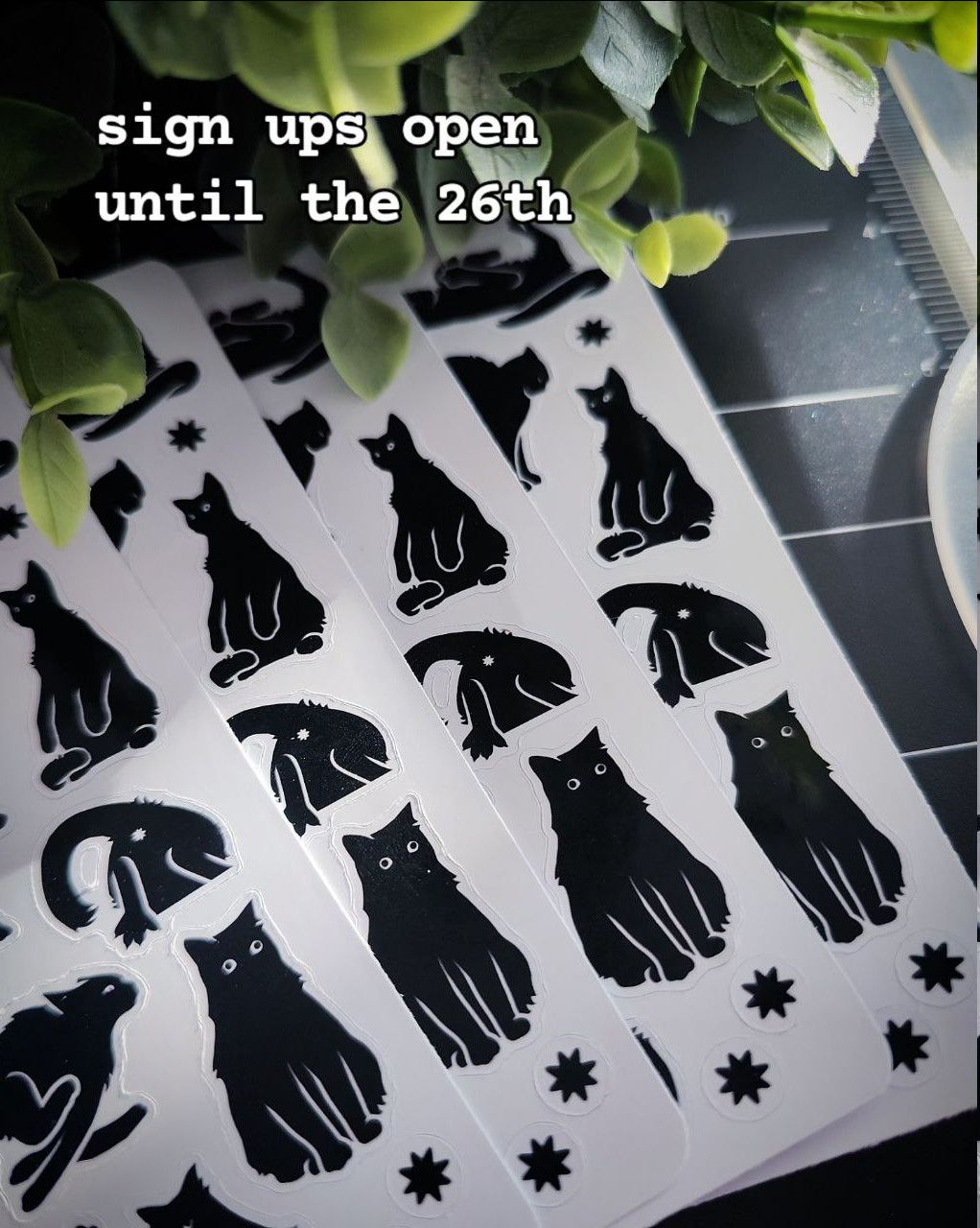 Photo of sticker sheets with silly black cats on white background