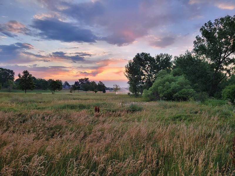 Five minutes past sunrise, the sun has yet to peek over the horizon but the golden light as touched the clouds. The silver tops and gray bottoms of sky yet warmed by morning frames the distant scene. The pre-dawn park feels subdued in shades of green with grass seed highlights.