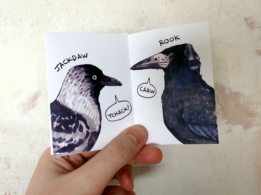 Photo of a zine, open on a page with a Jackdaw and a Rook.