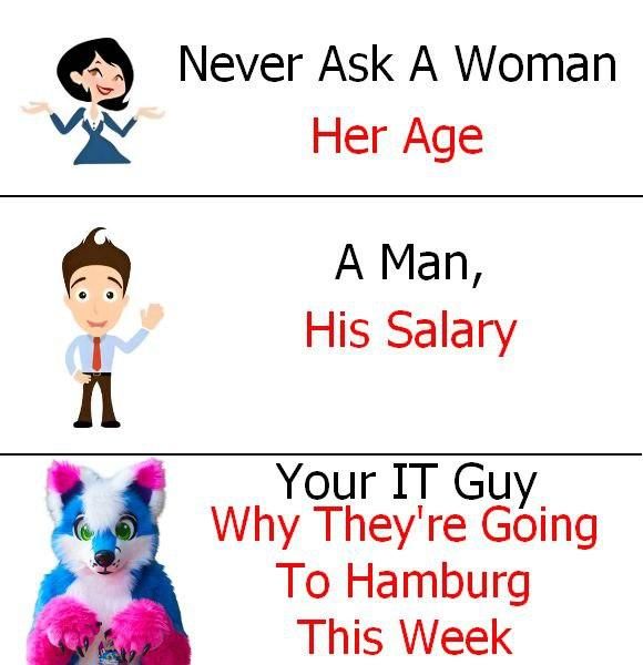 The "Never ask a woman her age, a man his salary, and X" meme. The third panel contains a person in a fursuit and the text "Your IT Guy Why They're going To Hamburg This Week".
