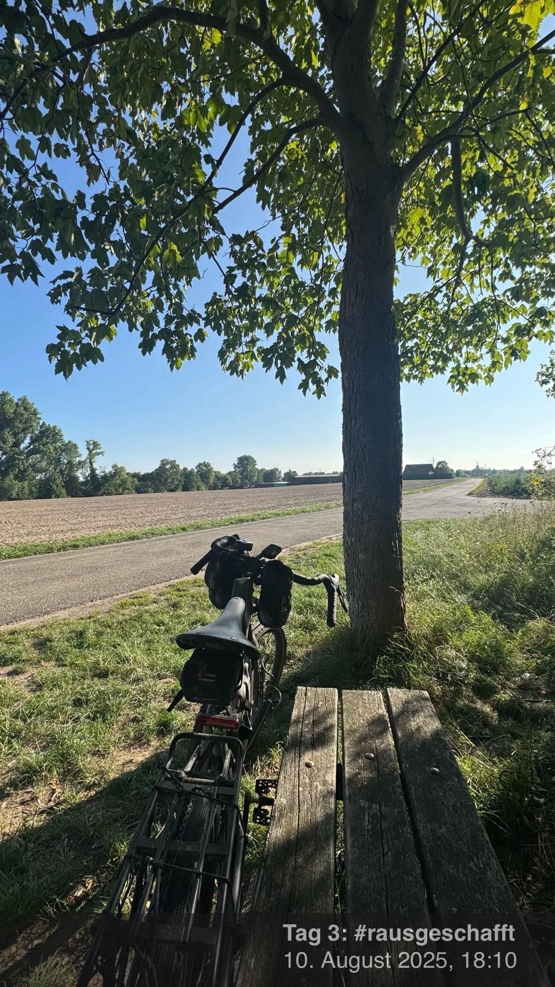 Ein Fahrrad steht neben einer Holzbank unter einem grünen Baum. Im Hintergrund führt eine Schotterstraße zu einem gepflügten Feld und einem klaren blauen Himmel. Die Szene ist ruhig, zeigt Natur und eine friedliche Außenumgebung.