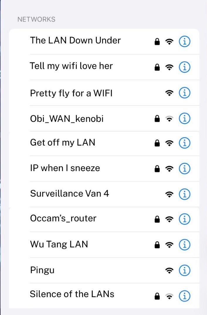 Screenshot of a dialogue containing a list of Wi-Fi networks. 

The LAN Down Under 

Tell my wifi love her 

Pretty fly for a WIFI 

Obi_WAN_kenobi 

Get off my LAN 

IP when I sneeze 

Surveillance Van 4 

Occam's_router 

Wu Tang LAN 

Pingu 

Silence of the LANs

(Image stolen from CSIRO)