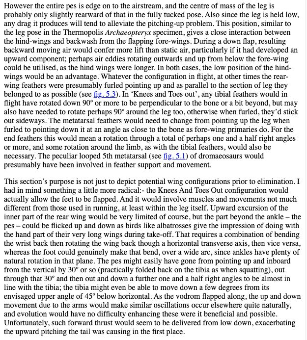 Detailed explanation of how the rear wings of a volant dromaeosaur such as Bambiraptor would be deployed when used just to generate lift; then the start of an account of how they could be used to generate thrust by flapping - by pushing outwards, instead of flapping up and down.