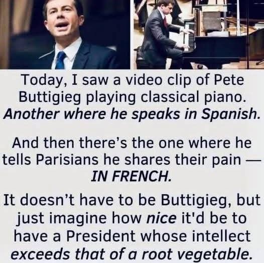 Today, I saw a video clip of Pete Buttigieg playing classical piano.

Another where he speaks in Spanish.

And then there's the one where he tells Parisians he shares their pain -

IN FRENCH.

It doesn't have to be Buttigieg, but just imagine how nice it'd be to have a President whose intellect exceeds that of a root vegetable.