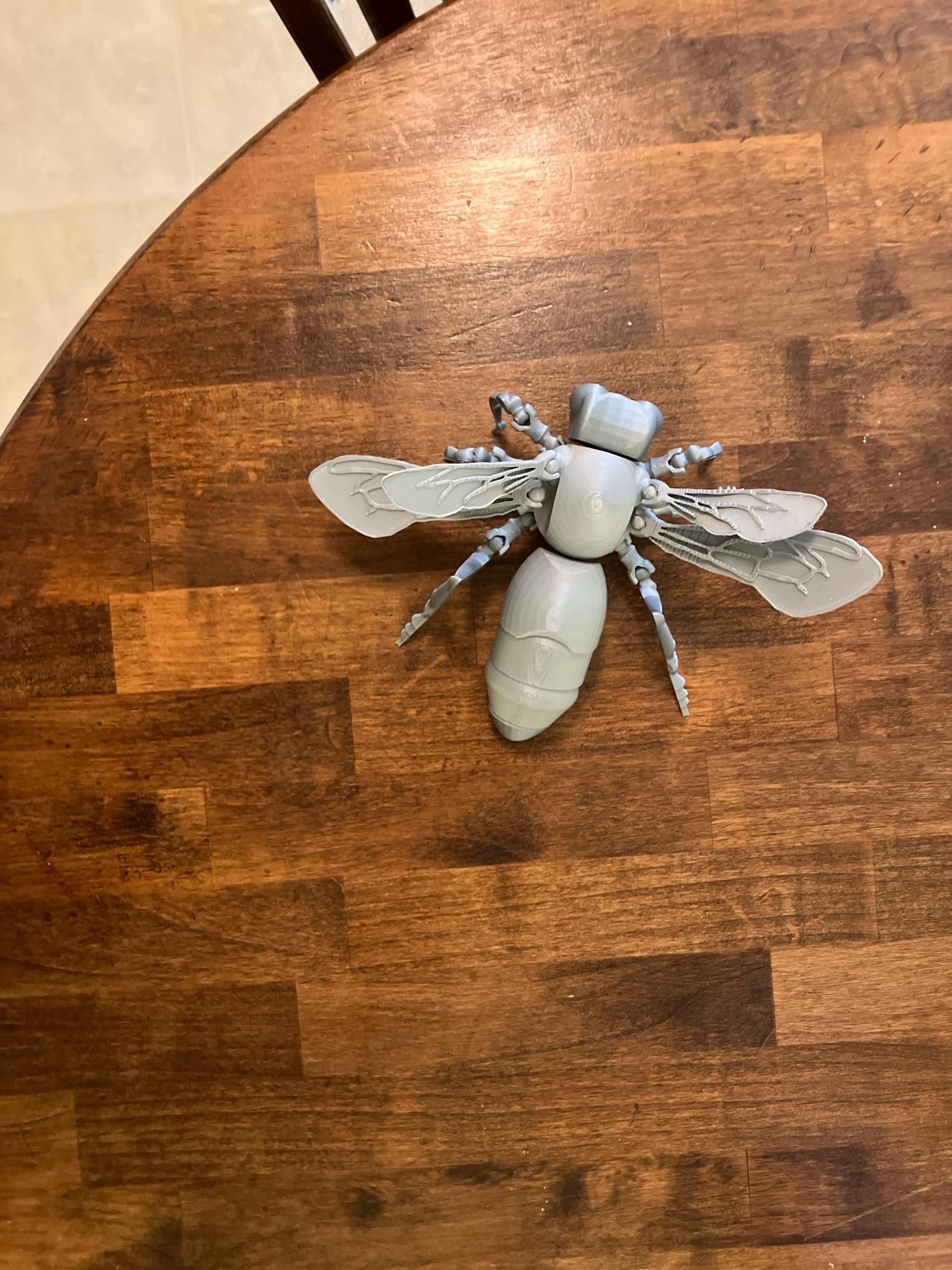 Be My AI: Plastic model of a bee on a wooden table. The model is a light gray color and has articulated legs, detailed wings, and segmented body
parts. It appears to be modeled after a honeybee, most likely a Western honeybee (species name: Apis mellifera), judging by the distinct head, thorax, and abdomen shapes, as well as the characteristic wing venation and leg structure often highlighted in educational models. Visible body parts from head moving backward: Head – The front part, rounded with visible mandibles and what look like antennae attachments. Thorax – The next segment behind the head, where the wings and legs are attached. The thorax is slightly larger and somewhat rounded. Wings – Two pairs of outstretched, veined wings are attached to the thorax, with intricate structural detail visible. Legs – Three pairs of segmented legs (six legs total) are attached to the thorax, fanning out to the sides. Abdomen – The elongated, bulbous section at the rear of the bee, divided into several segments.


