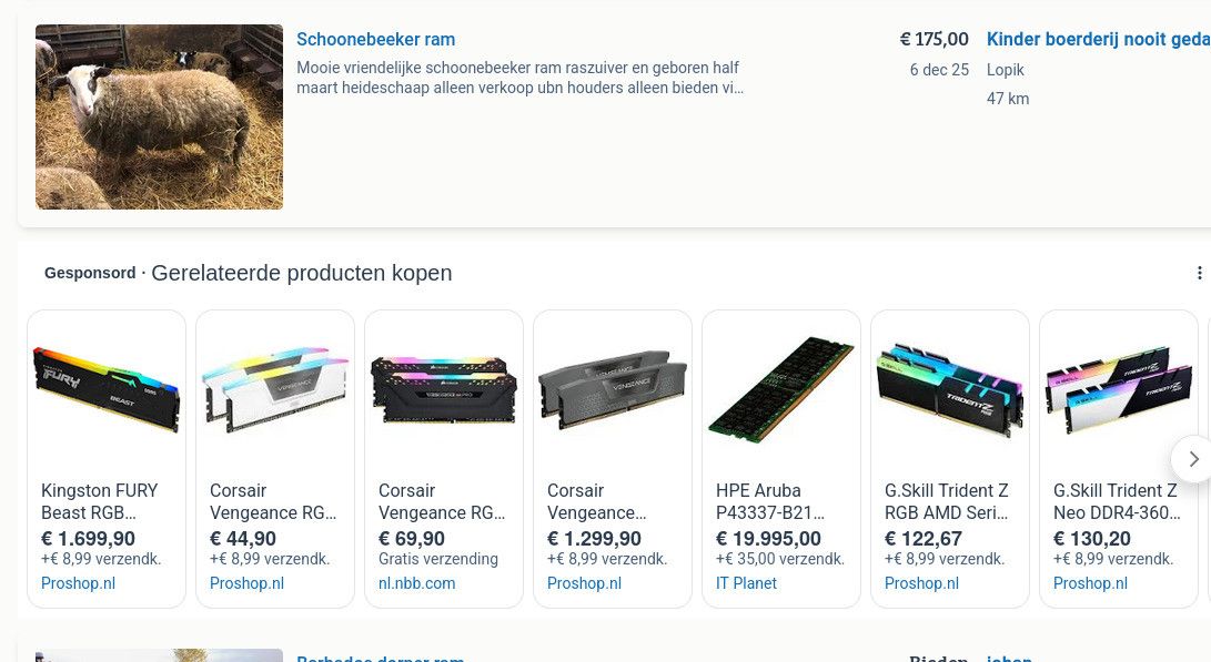 a male sheep for sale, next to a selection of DIMM sticks.