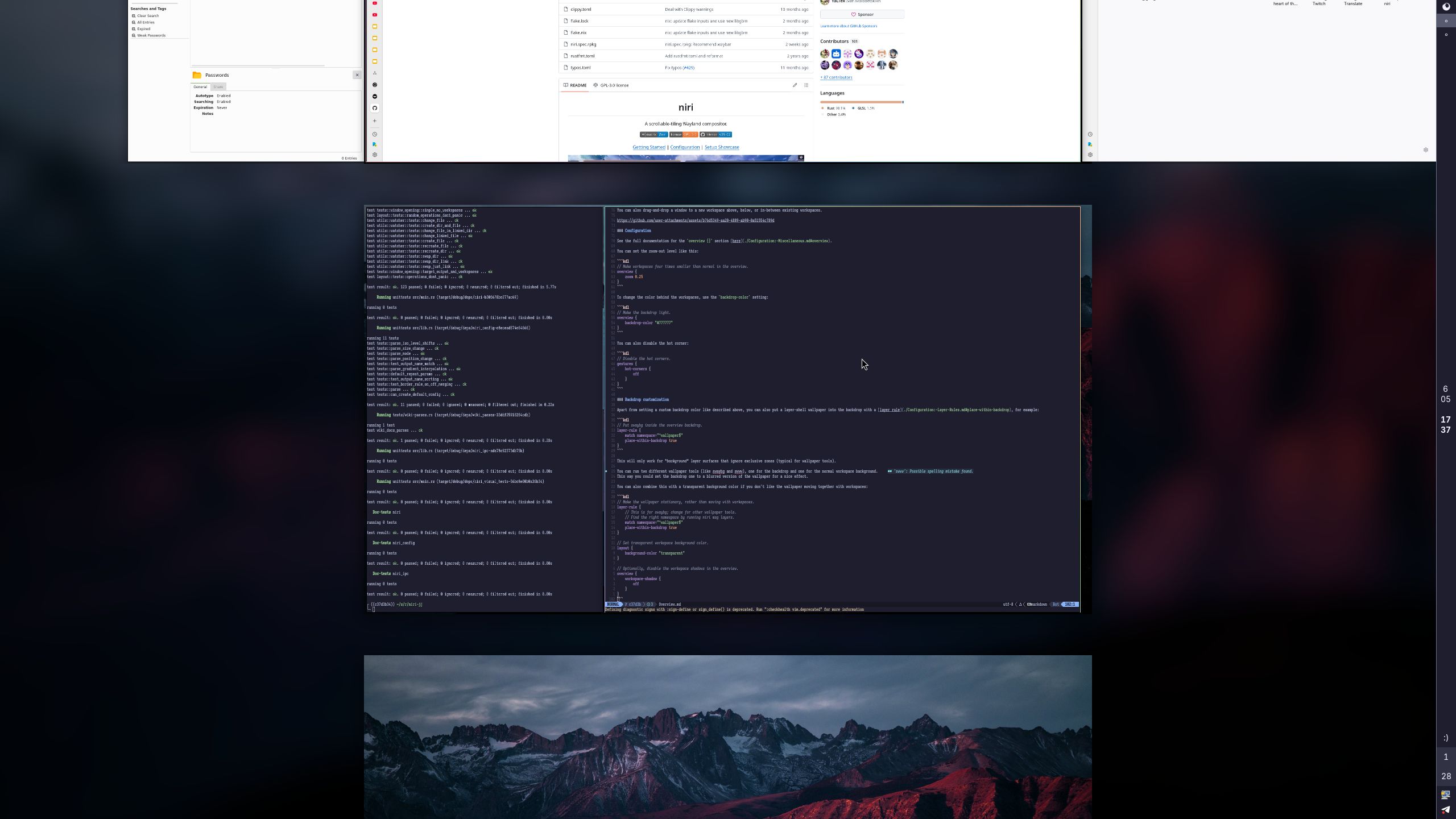 niri overview showing a blurred version of the background behind