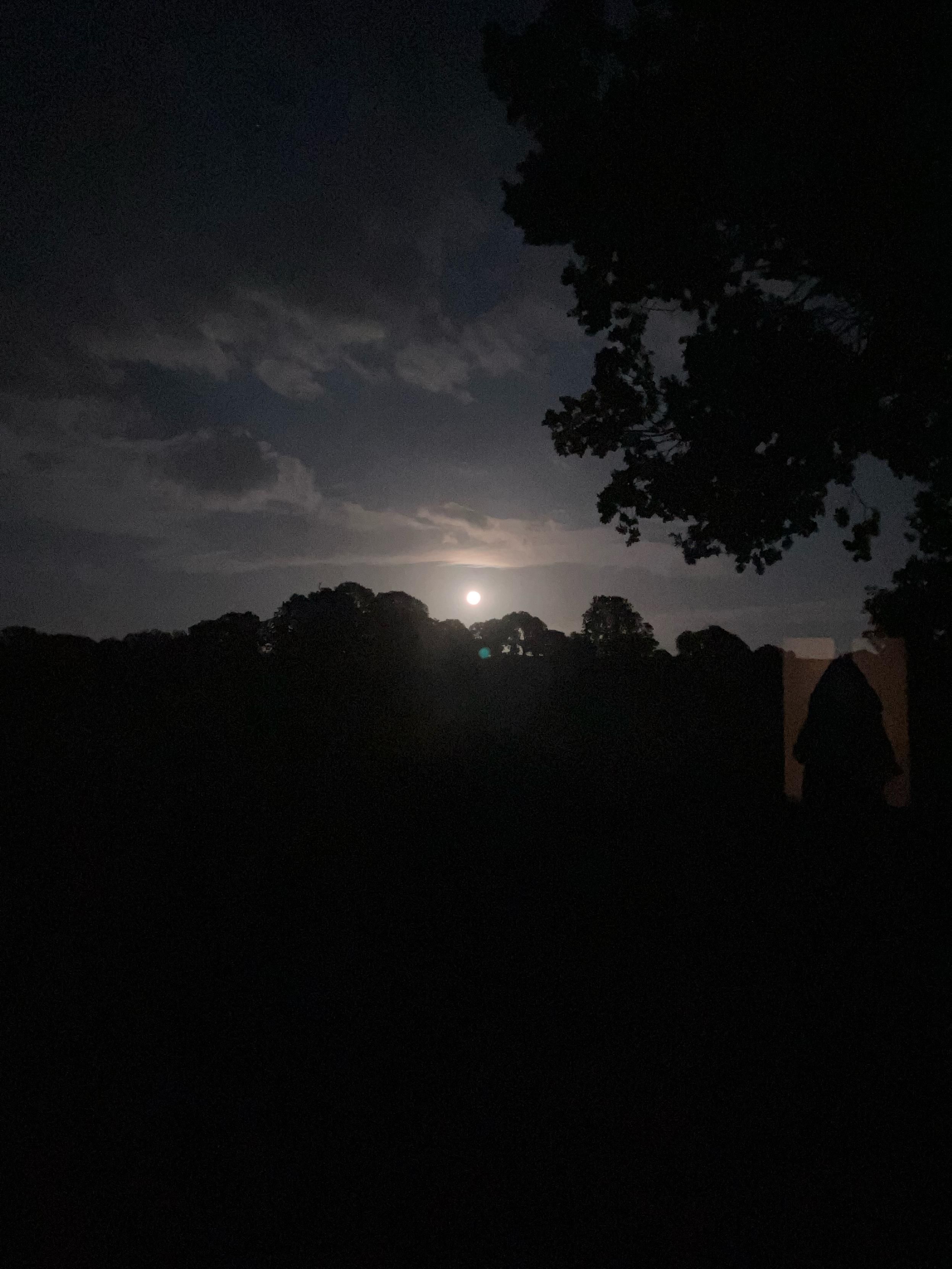 Photo of a full moon low in the night sky above the silhouette of a line of trees. The lower half of the frame is black, fields in total darkness. On the right, in the foreground, is an oak tree also in silhouette. The sky is a mauve grey with bands of cloud which are pale in the glow of the moon but dark further up. 

Edit: And it’s not a creepy nun in the bottom right corner but a reflection in the window of a dressing gown hanging on the back of a door in the bedroom behind.
