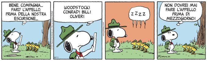 Immagine relativa all'articolo