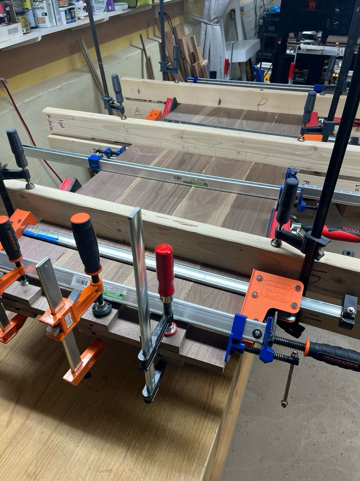 Several walnut boards laying flat with their edges touching. There are clamps pressing them together with a small amount of glue squeezing out of the edges.