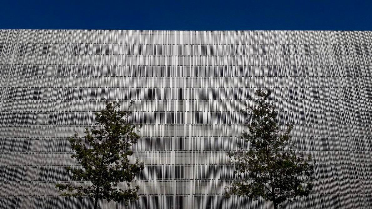 A huge silvery building facade with slots that give it a sense of moving lines and upward motion. Above it, a thin line of deep blue cloudless sky. In front of it, at a slight distance, like two sentinels, two tall green trees. I just found this photo during a clear-up and can't remember where I took it - it was either Aalborg or Oslo, I think.