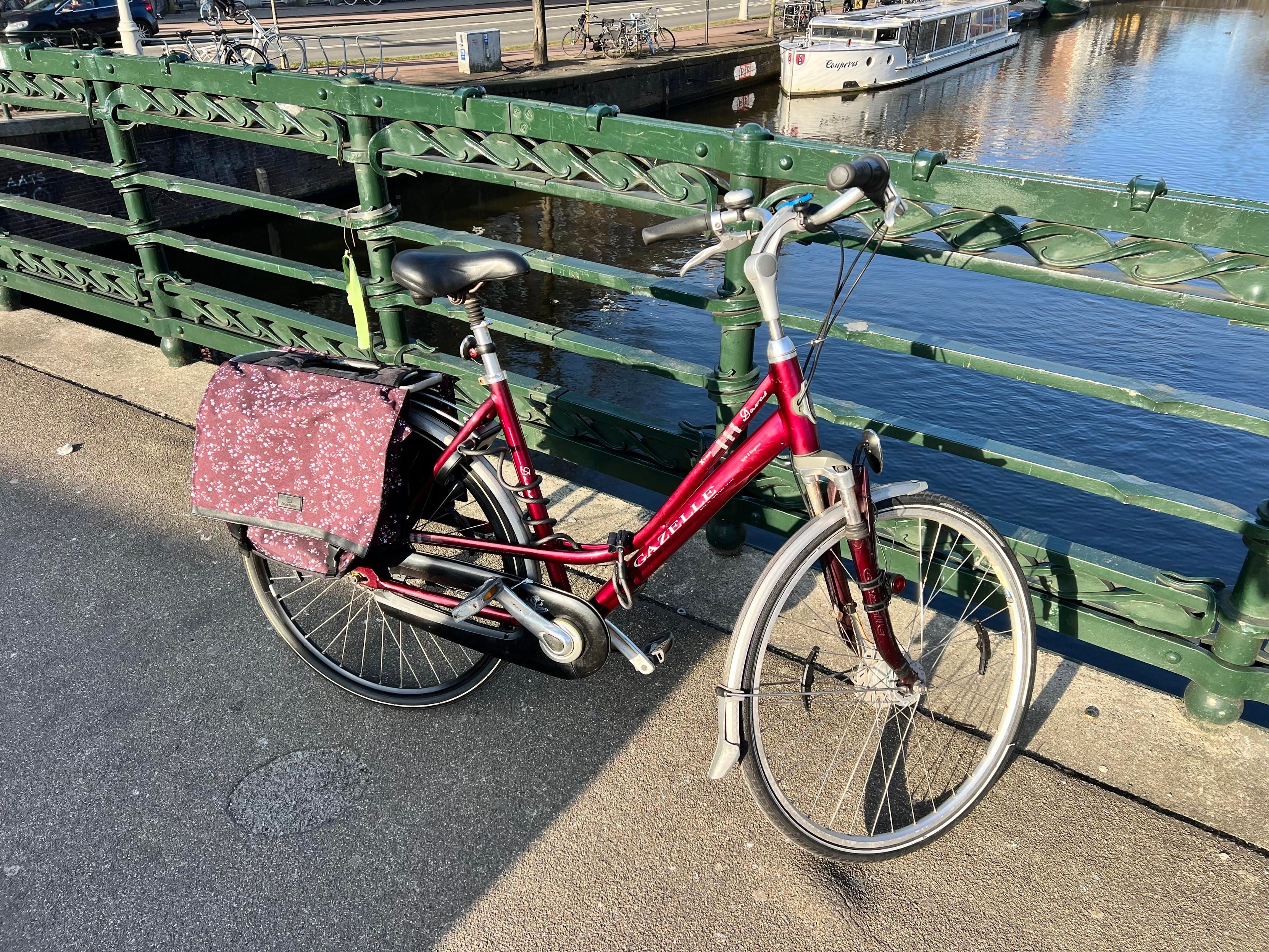 A red/burgundy bike sits next to a green railing on a bridge.  It has burgundy bags on the back with small flowers
