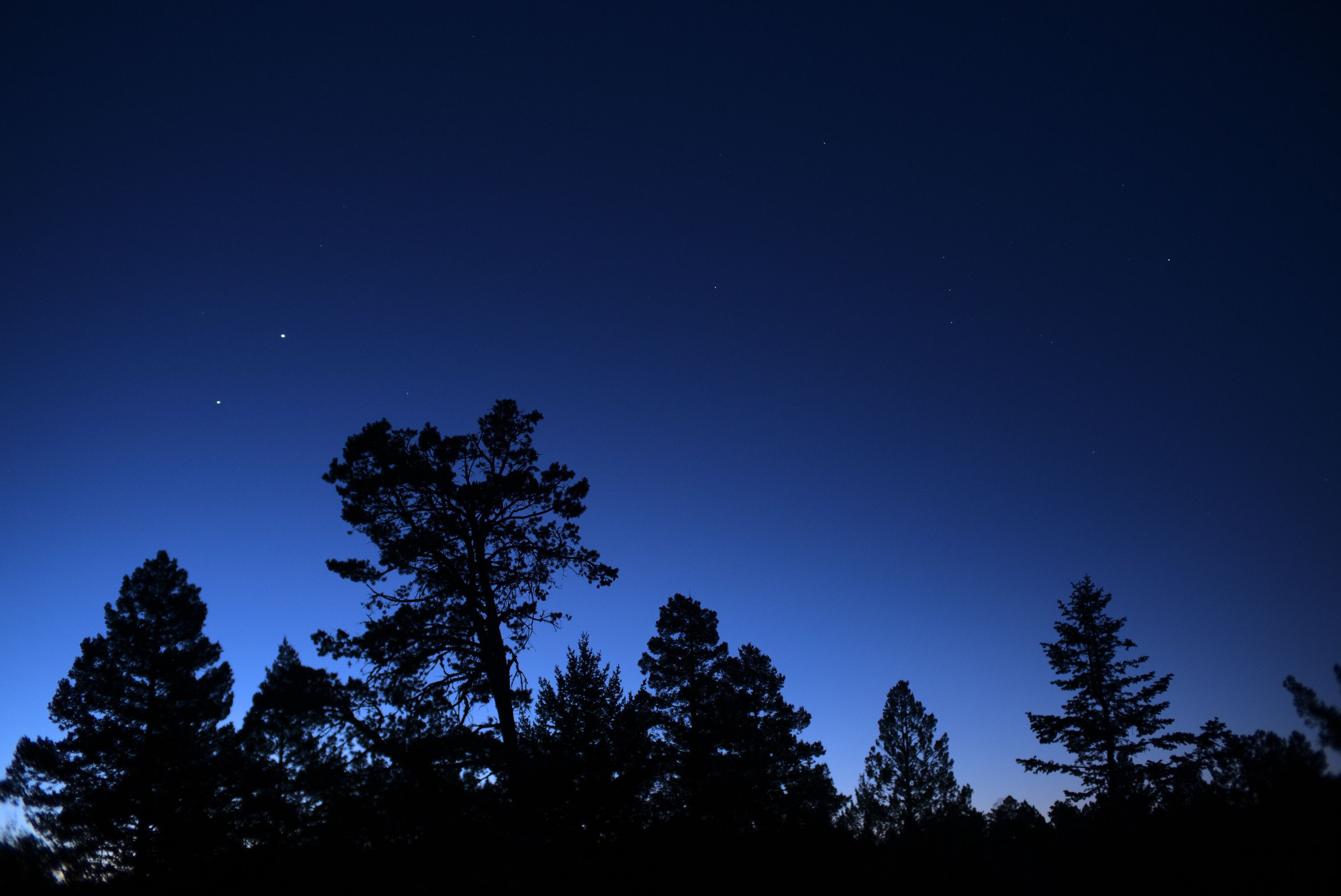 A cloudless deep blue morning twilight sky. Trees are silhouettes. Venus and Jupiter get closer to each other with each passing day. Orion is in the right half of the frame. 