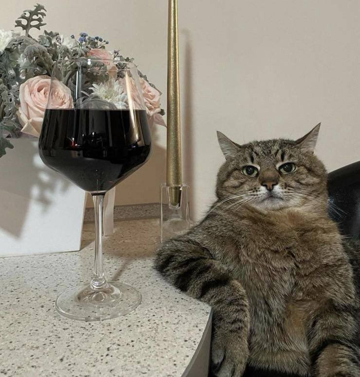 Cat leaning back in a chair with its front leg resting on a table like an arm. It looks bored. Next to it is a big glass of red wine