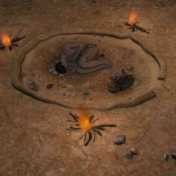 Ricostruzione 3D della sepoltura con umano e gatto neolitici

3D reconstruction of the grave with neolithic human and cat 