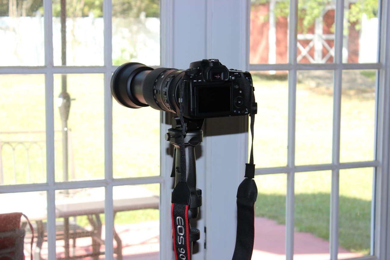 Camera on a tripod facing out into my yard.