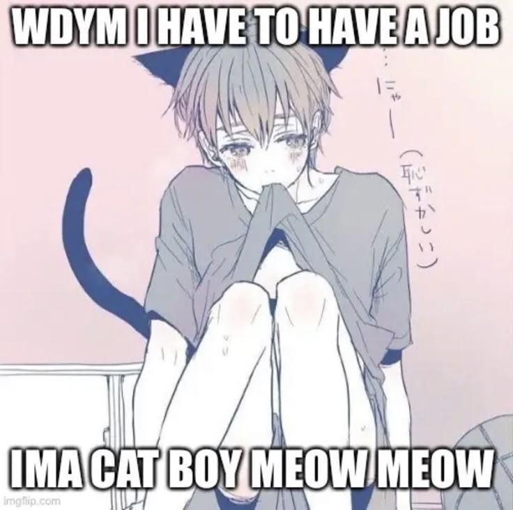 Meme with a cute catboy in rather suggestive pose (but SFW) and the caption "WDYM I have to have a job. IMA cat boy meow meow".